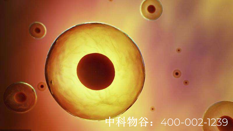 一脉星火燃成今日之光