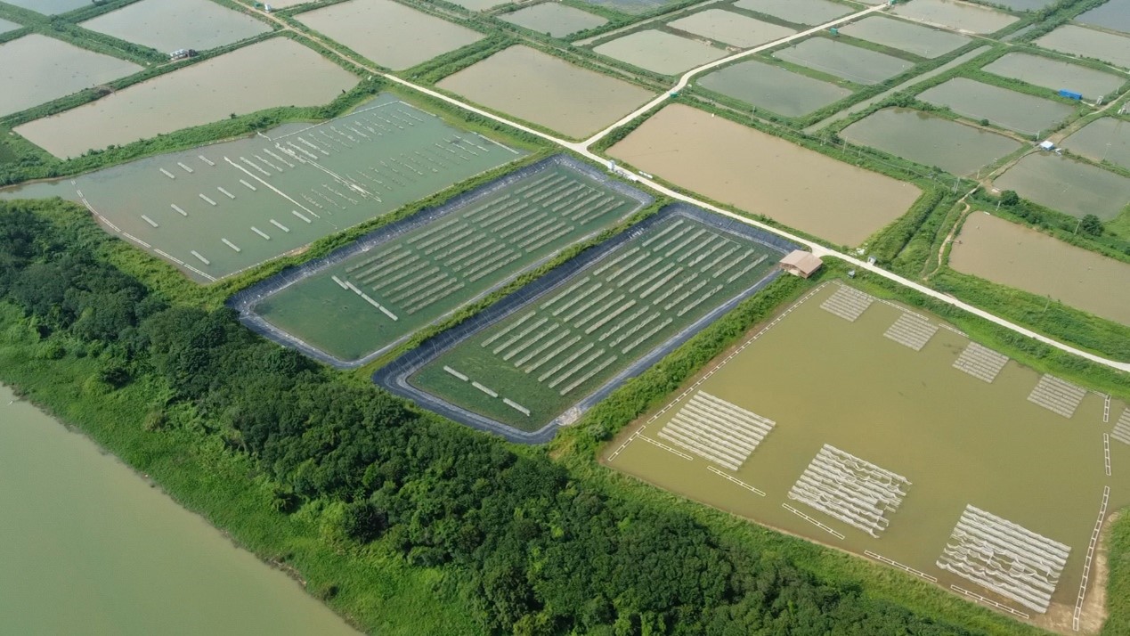 生物经济对可持续发展的贡献Engineering