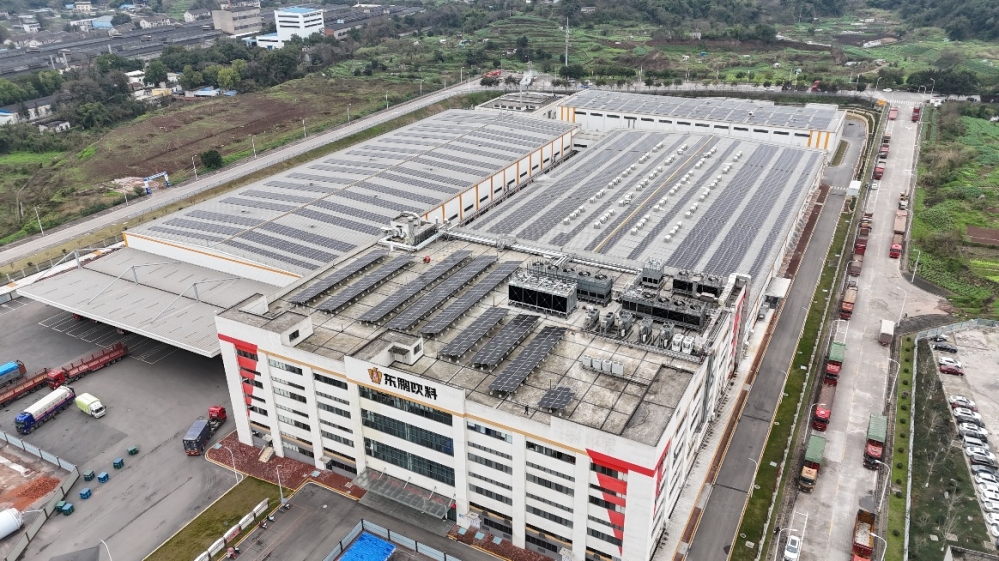 东鹏饮料：多维发力驱动可持续发展打造功能饮料ESG标杆(图3)