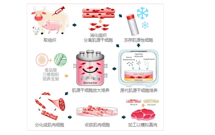 唐人神：有生物发酵研究所与菌种库开展原料酶解发酵提质应用