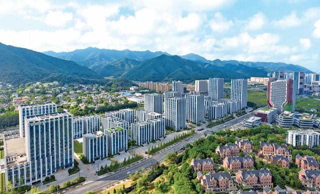 以链为帆以智为桨：富阳这个产业正扬帆起航(图15)