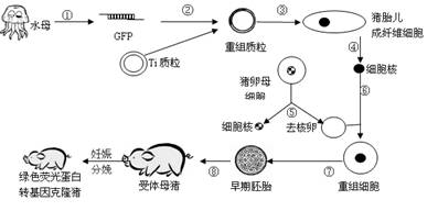 2026年医养健康行业市场现状及未来发展前景分析