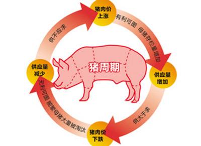首批巴西BOT牛肉跨海“参展”第四届国际航运展邀您足不出港品全球