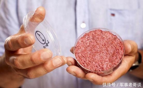 2024-2029年中國人造肉市場調查與行業前景預測專題研究報告