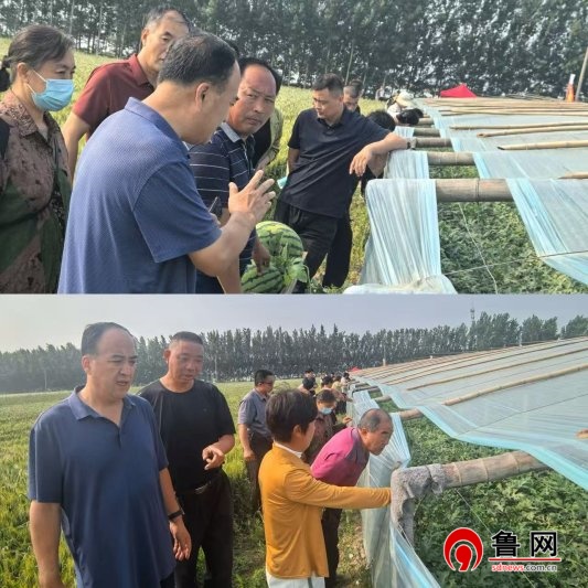 “深耕乡土实业赋能乡村振兴”山东省儒商研究会德州联络处平原工作委员会开展“儒商实践课堂”之走进王打卦南侯村水果基地开展观摩实践活动(图2)