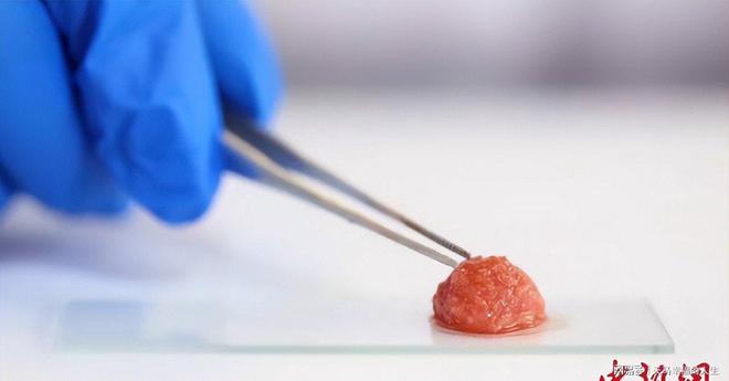 告别养猪场？7天速成猪肉问世不用杀生不污染吃货福音！(图13)