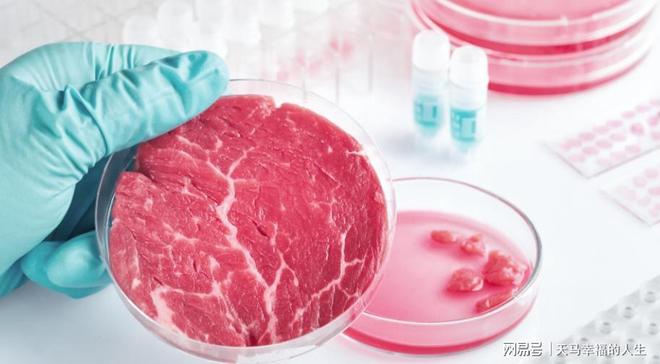 告别养猪场？7天速成猪肉问世不用杀生不污染吃货福音！(图15)