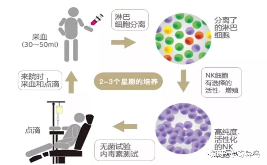 鼎汉技术(300011)_最新价格_行情_走势图—东方财富网