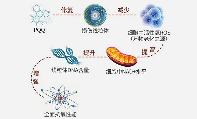 无限极与江南大学合作再升级中式体型管理新成果发布