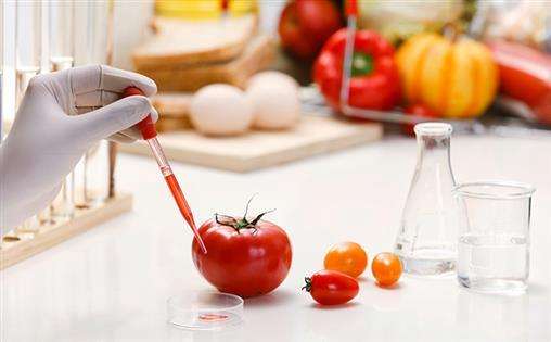 有机食品行业_食品资讯_伙伴网