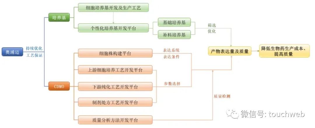 【齐育健康⑰】以体育人让每一个生命蓬勃生长——淄博师专附属中学“健康第一”创新实践纪实