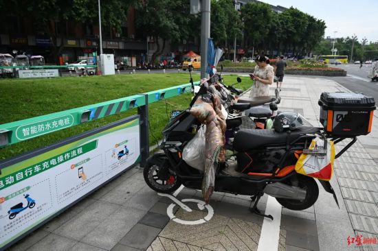 回应民生诉求54万个充电口落地双流！成都探索电动自行车充电新模式(图5)