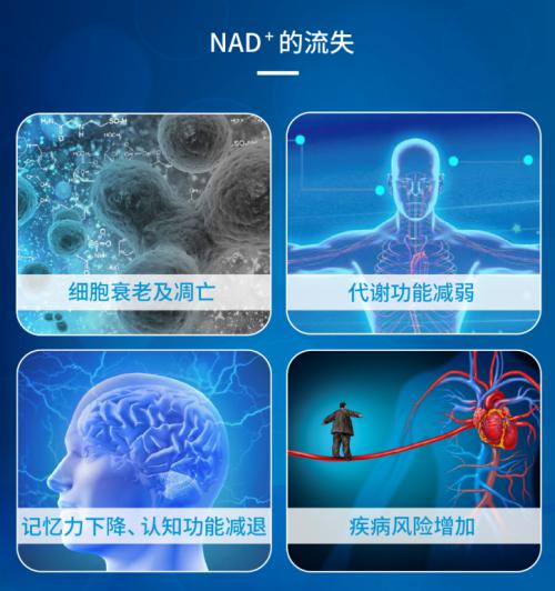 丰草牧场：传承近半载凭“纯真”出道