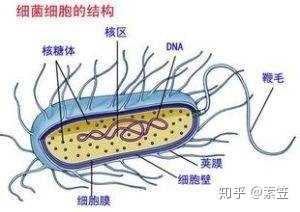 生物制造产业化的“势”与“为”