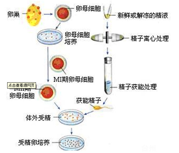 北京大学第三医院的个人主页
