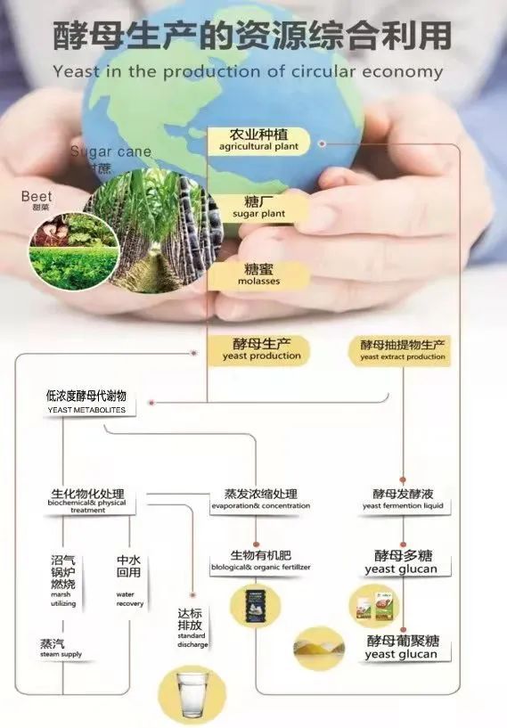 2026年马来西亚国际食品及饮料展览会