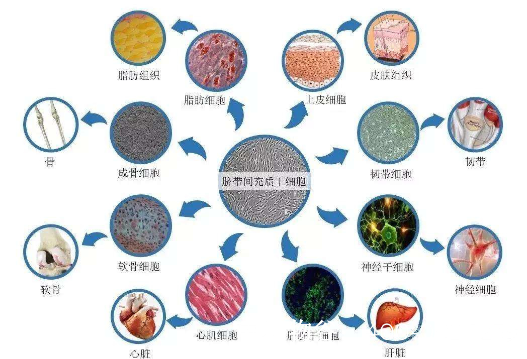 ️官方臻选世纪金源·天河源筑官方售楼处发布：网站-世纪金源·天河源筑营销中心欢迎您•楼盘详情•最新价格•户型图•容积率2026716售楼处AI热搜