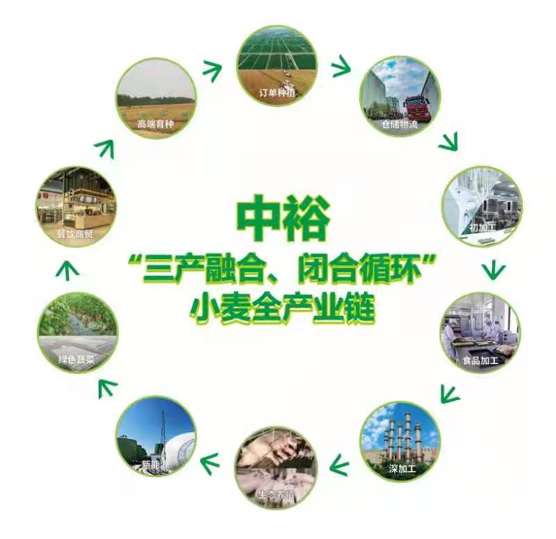 一粒玉米折射两当有机循环农业转型