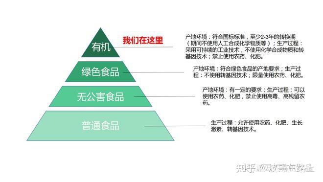 十三种绿色健康食品越吃越健康