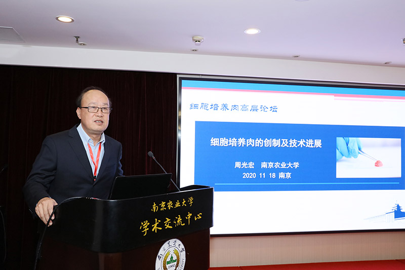 2026第二届海峡两岸（海南）厨艺美食产业大会在海口举行