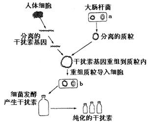 AI时代心血管学科的“心”生与融合