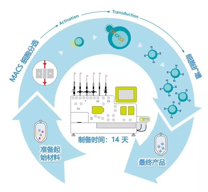 模块化机器人集群在执行复杂细胞治疗制造任务时的性能可匹配熟练人工操作员