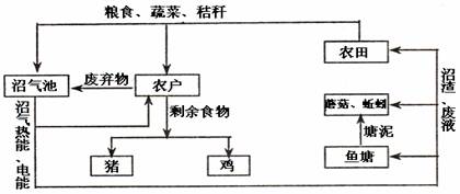 牢记嘱托感恩奋进为奋力谱写中国式现代化建设河北篇章贡献秦皇岛力量丨激活海洋经济蓝色引擎