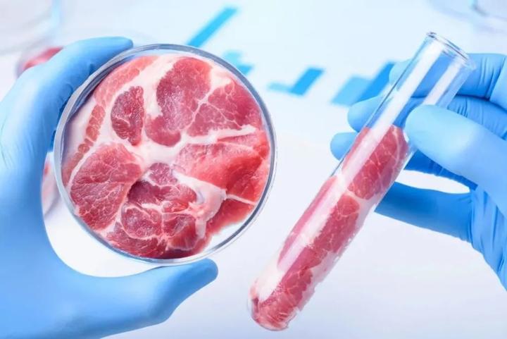 潍坊诸城：“肉盘子”里乾坤大