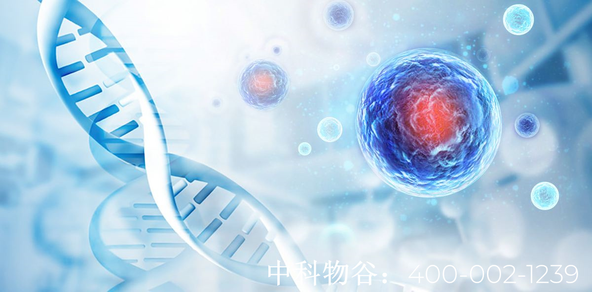 北京着力打造新的产业增长极