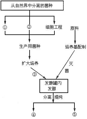 2026年生物试剂行业风险投资态势及投融资策略指引