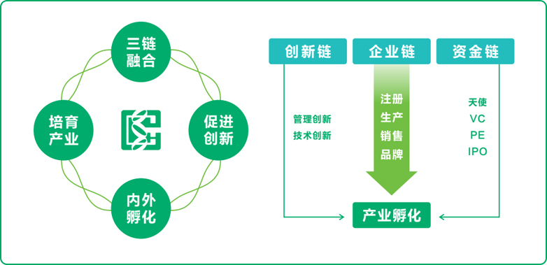 蒙牛总裁高飞：立足“世界乳都”打造三大高地共建可持续奶业生态圈