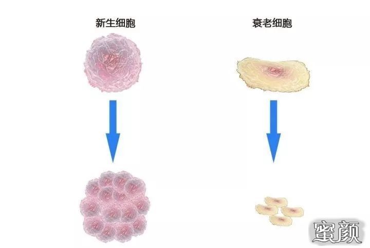 美仑讲堂满满干货一文秒懂细胞培养基！