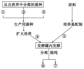 2026西安限行区域图