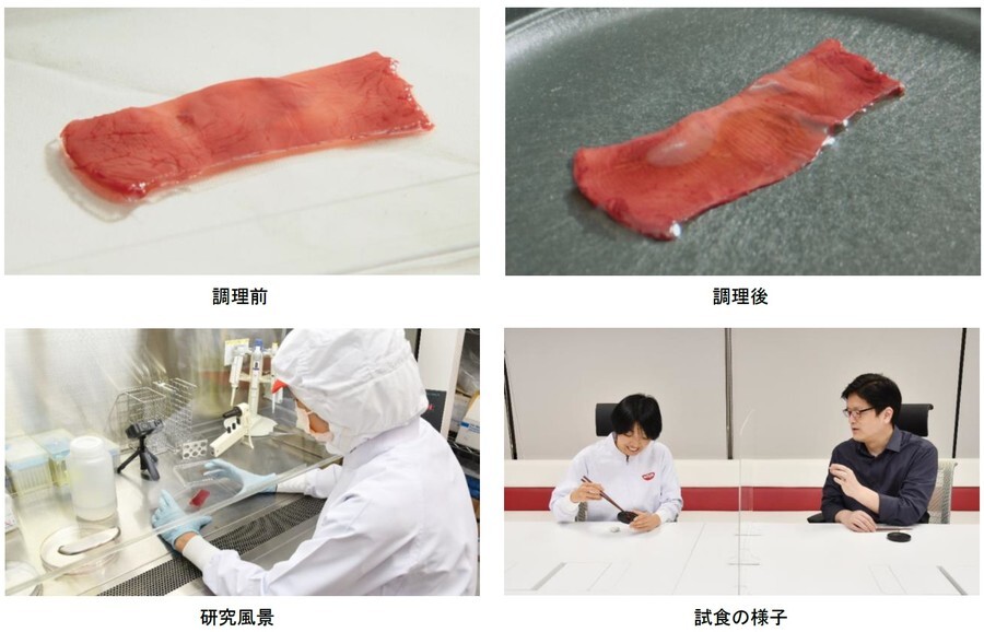 日本用细胞人工培养出牛肌肉组织